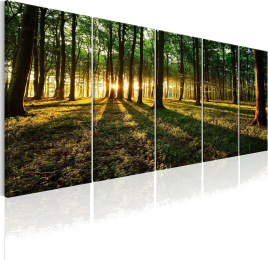 Bilde Shade Of Trees 225x90 Artgeist sp. z o. o.