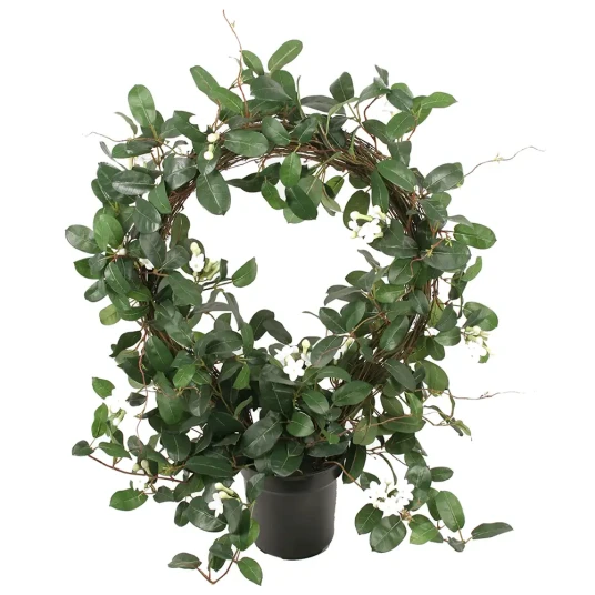 Mr Plant Stephanotis Potteplante 75 cm Hvit Mr Plant Stephanotis Potteplante 75 cm Hvit