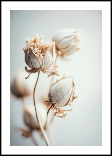 Delicate Blossoms Plakat Plakat / 30x40cm