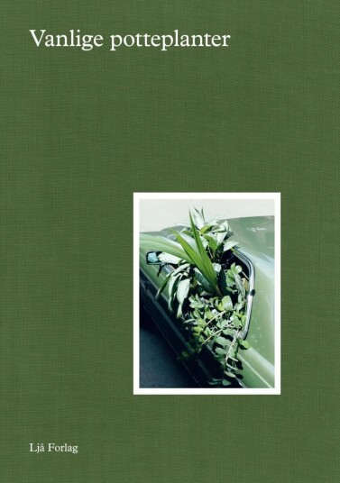 Vanlige Potteplanter