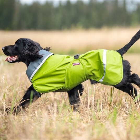 Pomppa Sade Regndekken Hund Grøn (34 cm)