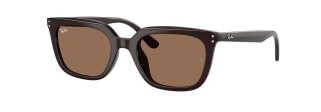 Ray-Ban RB4439D 623173 5421 Ray-Ban RB4439D 623173 5421