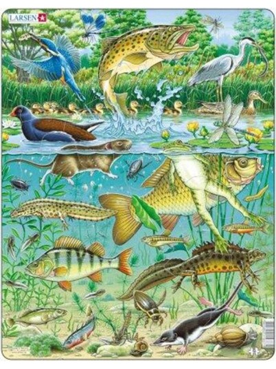 Larsen Puzzles Pond Larsen Puzzles Pond