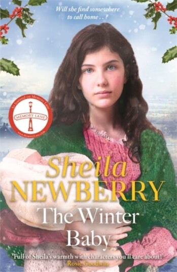 The Winter Baby  A perfect, heartwarming winter story from the Queen of Family Saga