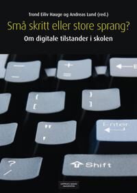 Små Skritt Eller Store Sprang?