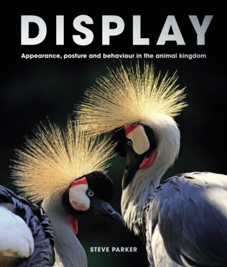 Display Appearance, posture and behaviour in the animal kingdom Display Appearance, posture and behaviour in the animal kingdom