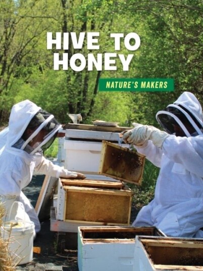 Hive to Honey Hive to Honey