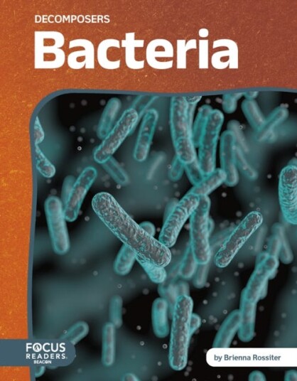 Decomposers: Bacteria Decomposers: Bacteria