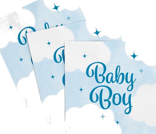 Servietter Baby Boy 20 pakning Servietter Baby Boy 20 pakning