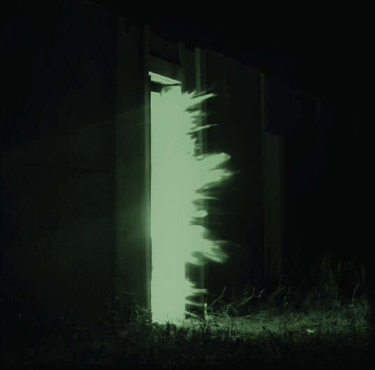 Fink Horizontalism CD