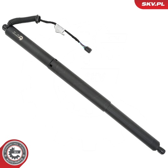 Elektromotor bakluke ESEN SKV 52SKV248