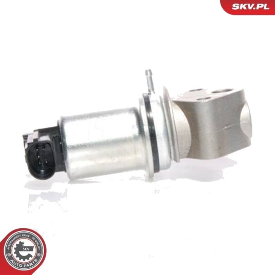 EGR-ventil ESEN SKV 14SKV016