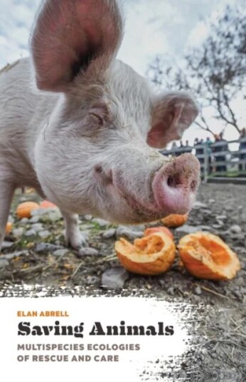 Saving Animals Av Elan Abrell