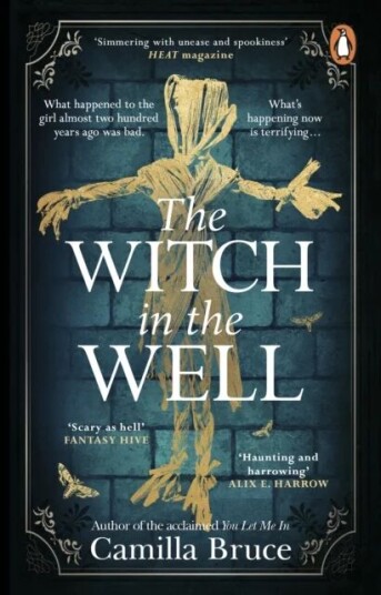 The Witch In The Well Av Camilla Bruce