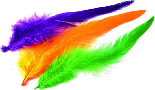 Veniard Schlappen Dyed