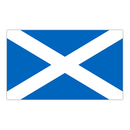 Henbrandt Flagg St. Andrews