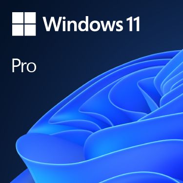 Microsoft Windows 11 Pro OEM French Microsoft Windows 11 Pro OEM French
