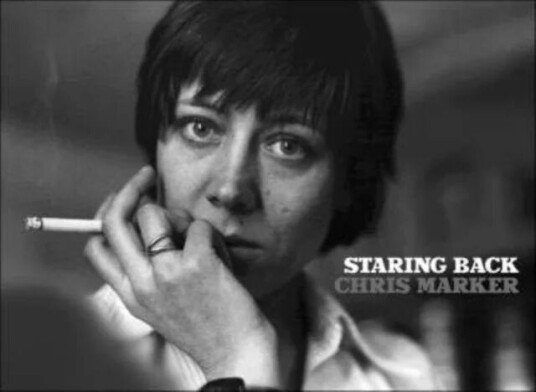 Staring Back Av Chris Marker