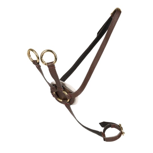 Cheval Roi Kjepphest tilbehør Martingal Brun/gull