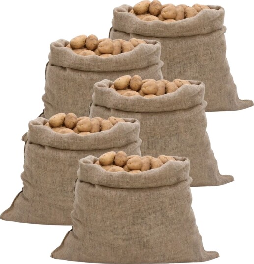  Jutesekker 5 stk 100x110 cm 100% jute 220 gsm 155781