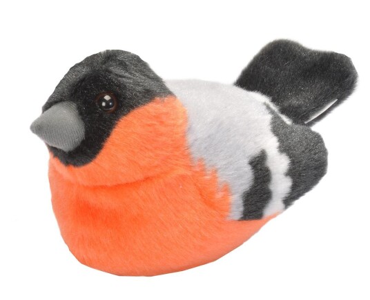 Wild Republic Birds with sound from