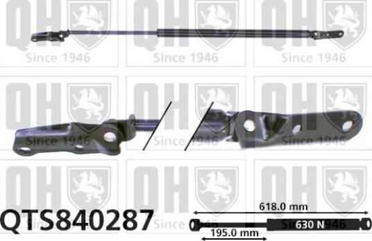 QUINTON HAZELL QTS840287 Baklukedemper