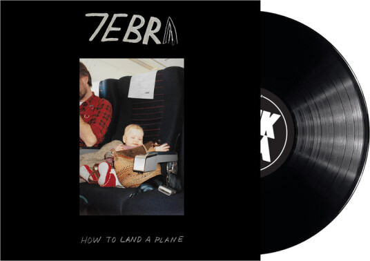 How to Land a Plane