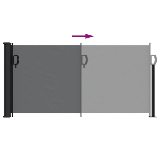 Uttrekkbar sidemarkise svart 100x300 cm 4004264