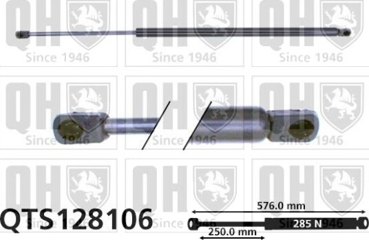 QUINTON HAZELL QTS128106 Baklukedemper