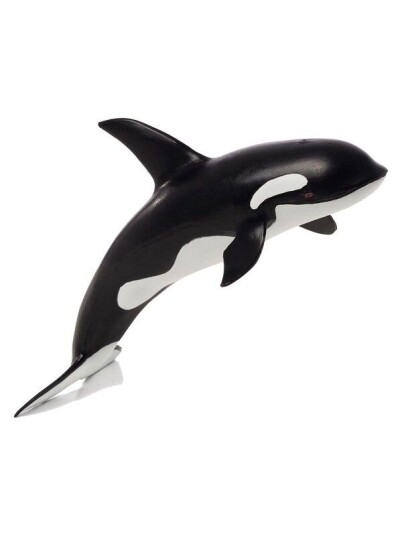 Mojo   Sealife Orca Large