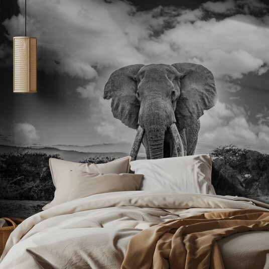 Tapet – Elefant i villmarken