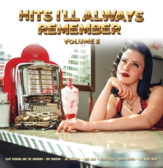 Hits I'll Always Remember: Vol 3 - Diverse Artister (Vinyl)
