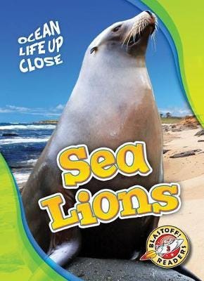 Sea Lions Sea Lions