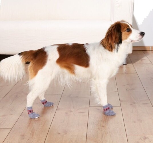 Trixie Antiskli Hundesokker 2-pakk Grå XS-S Trixie Antiskli Hundesokker 2-pakk Grå XS-S