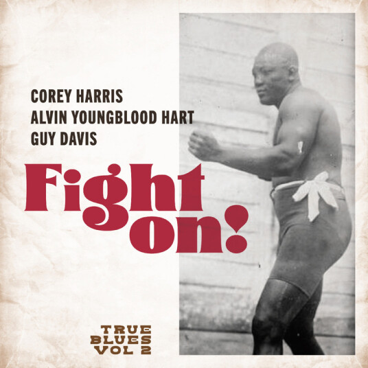 Corey Harris, Alvin Youngblood Hart, Guy Davis Fight On! True Blues Vol. 2 CD