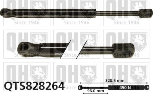 QUINTON HAZELL QTS828264 Baklukedemper
