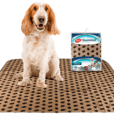Training Washable Travel Pads 76 X 81 cm 2 Stk.