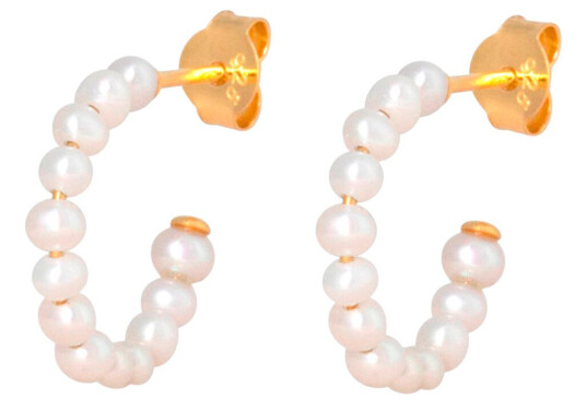 IX Studios Philine Øredobber 22 kt. Gullbelagt sølv DMB0355GDPAIR IX Studios Philine Øredobber 22 kt. Gullbelagt sølv DMB0355GDPAIR