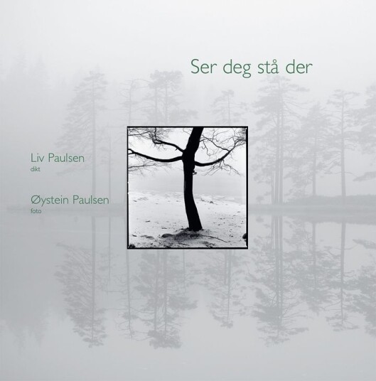 Ser deg stå der