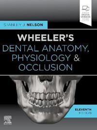 Wheeler'S Dental Anatomy, Physiology And Occlusion Av Stanley J. (Professor And Co-Chair Clinical Sciences Education University Of Nevada-Las Veg