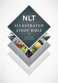 Nlt Illustrated Study Bible Nlt Illustrated Study Bible