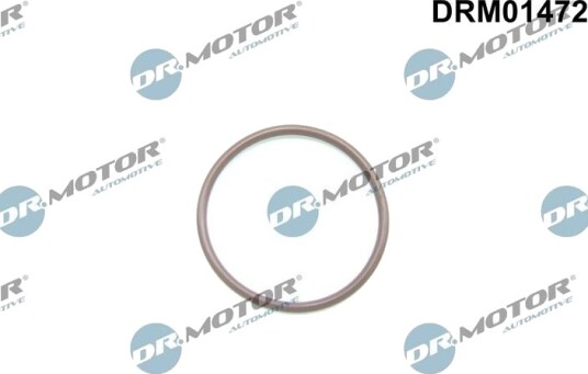 Tetning, bensinpumpe DR.MOTOR AUTOMOTIVE DRM01472