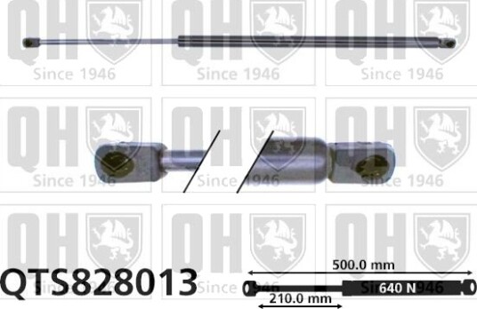 QUINTON HAZELL QTS828013 Baklukedemper