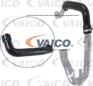 VAICO V24 0696 Ladeluftslange