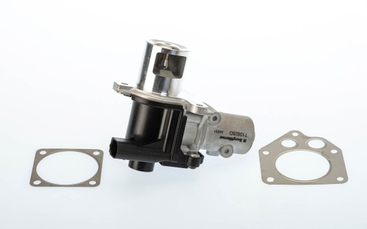 EGR Ventil WAHLER 710928D