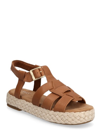 TOMS Jac Brown 40