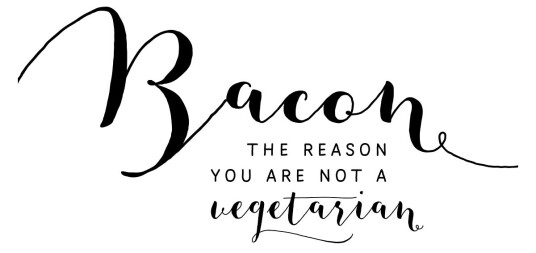 Bacon hvid av Ten Valleys Bacon hvid av Ten Valleys