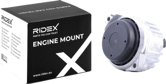RIDEX 247E0534 Motorfeste