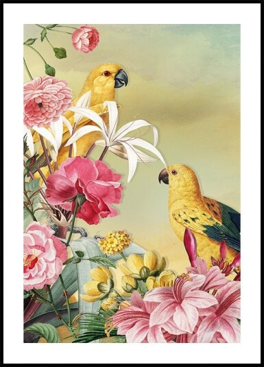 Birds From Paradise Plakat Plakat / 21x30cm