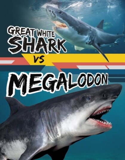 Great White Shark vs Megalodon Great White Shark vs Megalodon